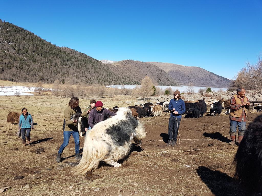 Vast Mongolia Tour guesthouse&tours Oulan-Bator Extérieur photo