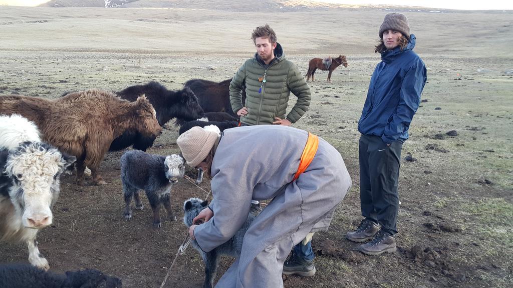 Vast Mongolia Tour guesthouse&tours Oulan-Bator Extérieur photo