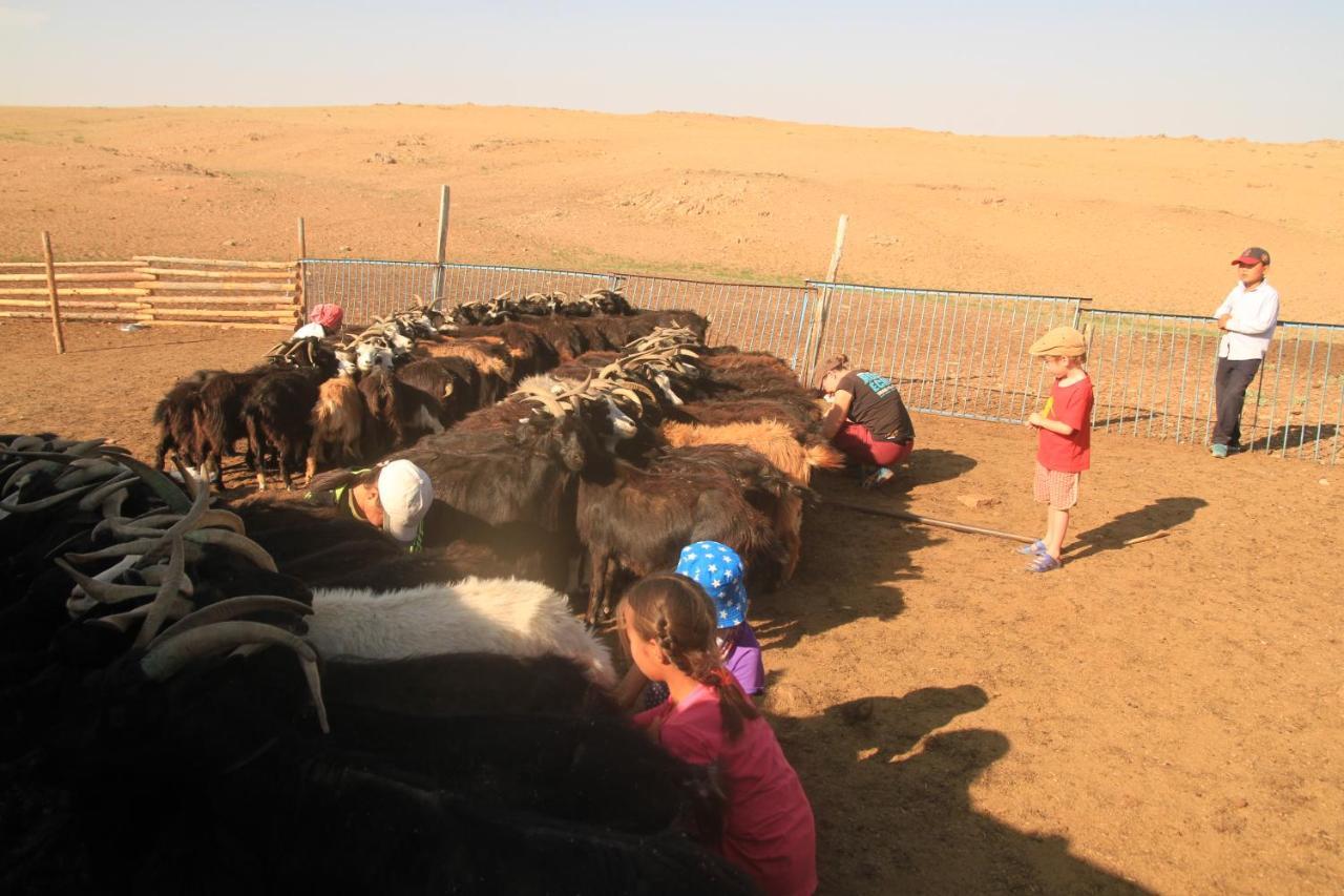 Vast Mongolia Tour guesthouse&tours Oulan-Bator Extérieur photo
